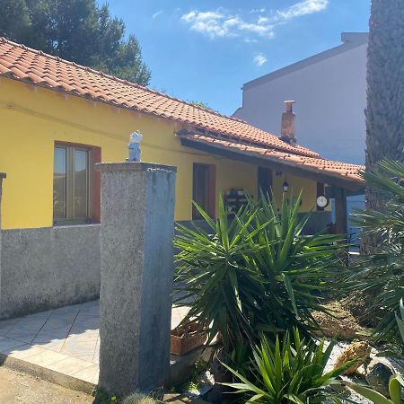 Casa Vacanza Sa Dommu De Teresa Nebida ภายนอก รูปภาพ